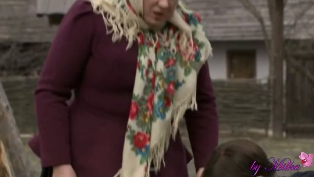 возвращение в станицу