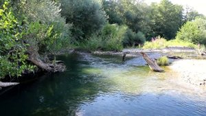 ? ? ? ? 5. Пляж Криница и низовья реки Пшады. Отдых на берегу горной реки.