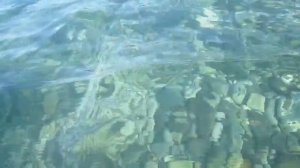 Черное море! Ольгинка! А Вы  отдыхали на  самом лучшем  побережье Черного моря?