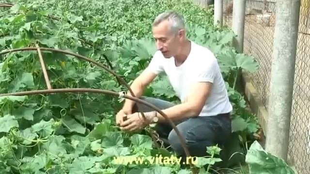 правильная реклама