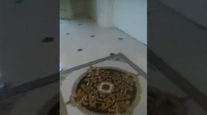 Лепнина.Колонны .Арки из лепнины