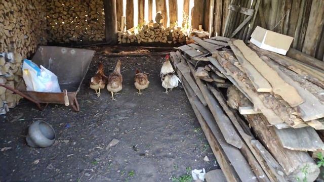 Кира месит тесто смотреть онлайн