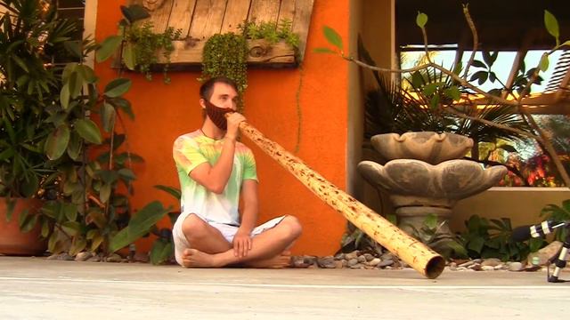 "MG506" Agave Didgeridoo by Myke Gomezmaicas смотреть онлайн