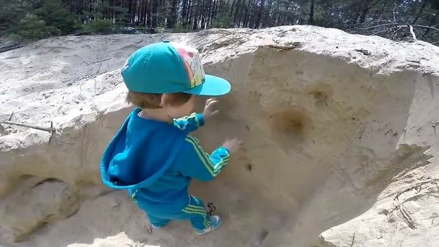 Землеройка обыкновенная смотреть онлайн