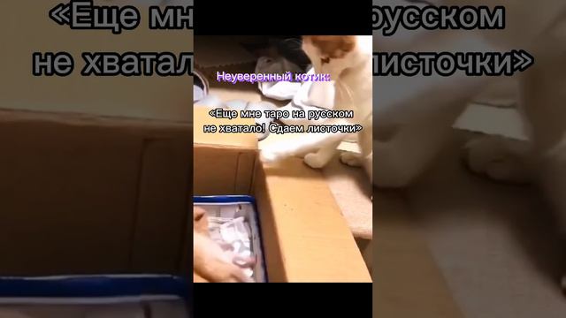 Готовься к ЕГЭ, ОГЭ по русскому со мной❤️ #репетиторегэ #репетиторогэ #егэ #огэ #репетиторпорусском
