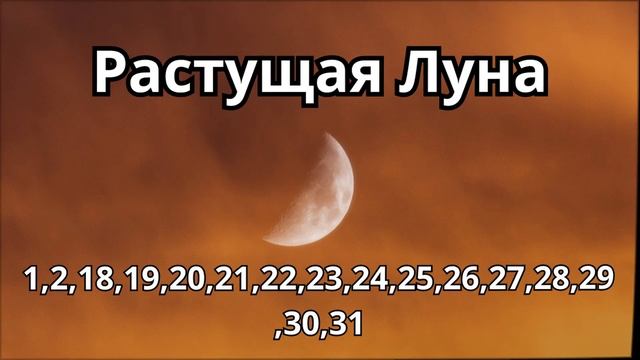 Фазы луны в июле 2023 года