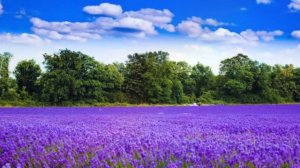 С днём рождения! Христианское поздравление в стихах.