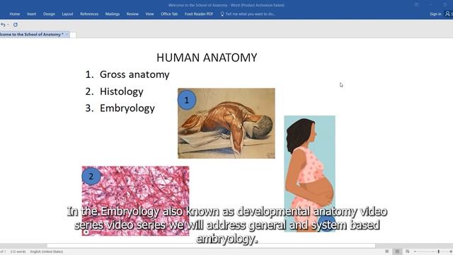Introduction to School of Anatomy смотреть онлайн