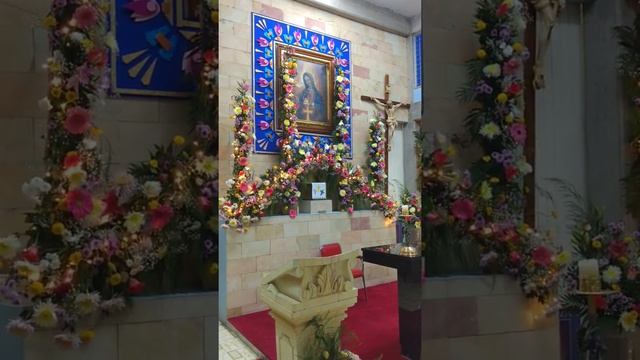 SERENATA A SANTA MARÍA DE GUADALUPE