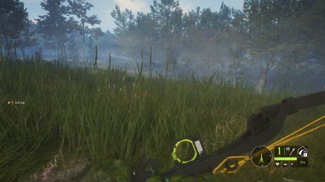 Охота на лань в заказнике Te Awaroa смотреть онлайн