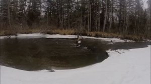 Рыбалка на реке катэн весна 2017