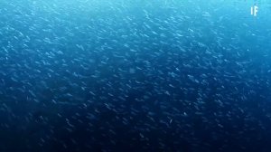 Что если мы осушим все океаны?