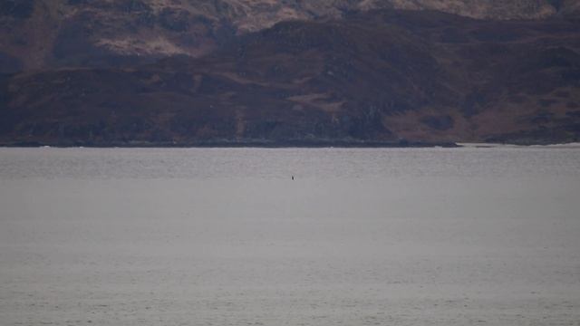 John Coe and Aquarius: Forever | Part 3 смотреть онлайн