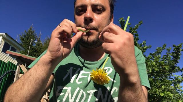 Как играть на одуванчике: краткий мастер-класс смотреть онлайн