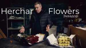 Розы из Эквадора | Плантация Herchan Flowers