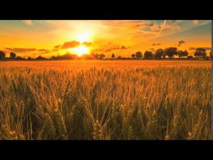 Hans Zimmer Now We Are Free Magdelayna Remake