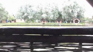 Усадьба соколиное гнездо д.Соколово