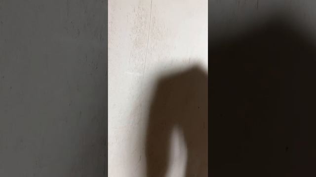 Глянцевание стен после штукатурки. Что это такое, для чего оно делается ...