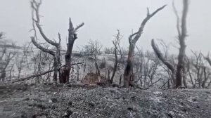 ??⚔?? Эмоциональные кадры раненого русского бойца который думал что умрёт