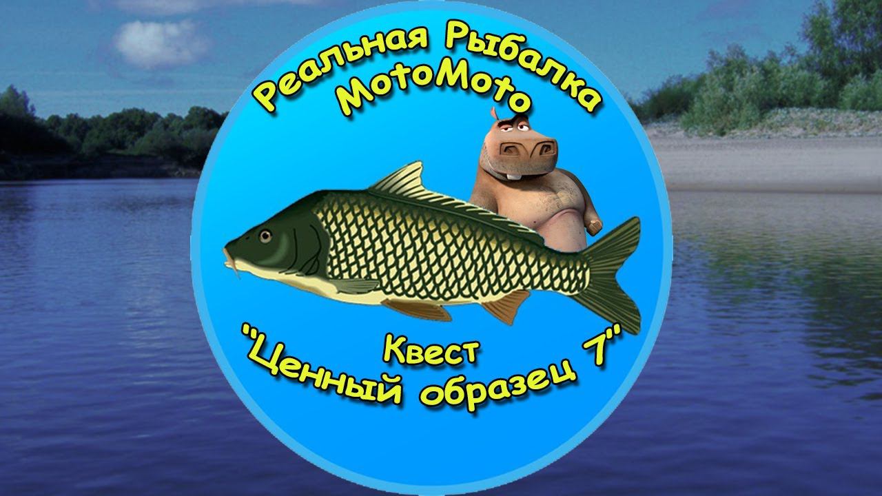 Квест 