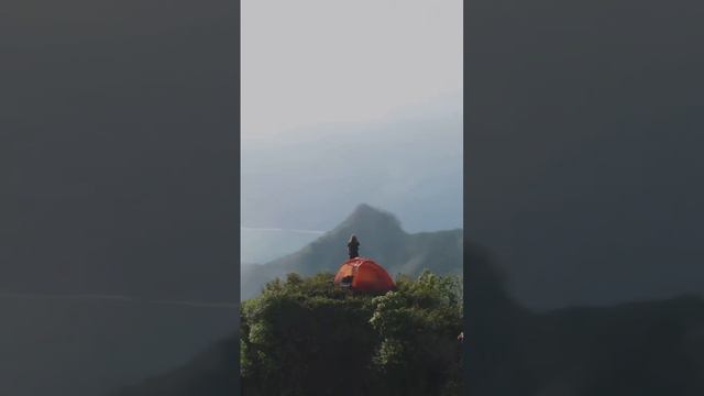Французская Полинезия 🇵🇫