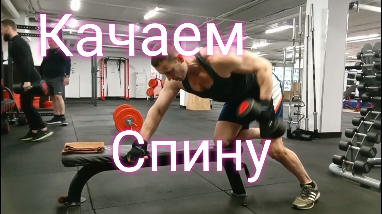 Тяга гантелей к поясу /Качаем спину /Широчайшие #качаемспину #широчайшие #бодибилдинг