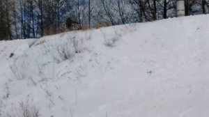 мотособака с лыжным модулем и КПП ваз 2107