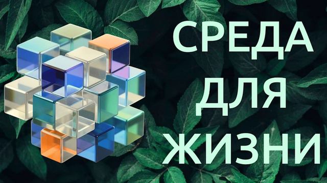 "Среда для жизни" - Агро-усадьба "Лес стори"