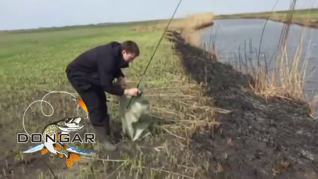 Весенний окунь на ериках смотреть онлайн