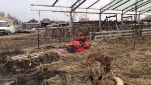 Готовимся к новому сезону. Посёлок Овощной. Ростовская область.