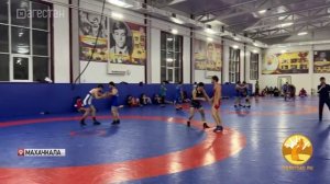 Завтра в Красноярске стартует 35-й международный турнир по вольной борьбе «Кубок Ивана Ярыгина»