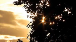 Футаж Романтический Вечер. Красивый Вечер. Романтические Футажи. Видеофутажи