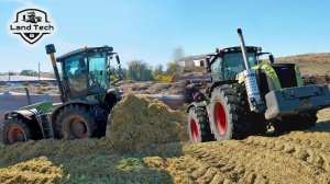 Тракторы CLAAS Xerion 5000, Xerion 3300 Trac VC (с разворотной кабиной) и К-700А трамбуют силос!