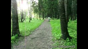 Мотосамокат Вектор 3