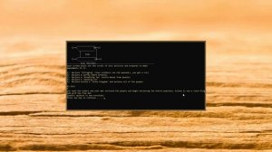 First Impressions - Warsim: The Realm Of Aslona