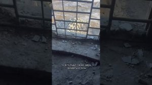 Ход работ на 3 февраля 2024