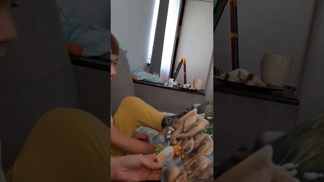 Сын рассказывает про животных Африки смотреть онлайн