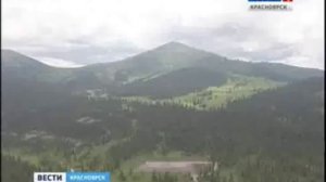 В Красноярском крае объявлен отстрел бурых медведей