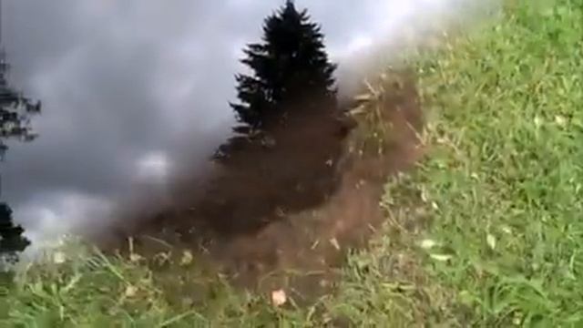 Виноград вырастила из косточки от магазинного винограда, а саженец покупали, но он не принялся. смотреть онлайн