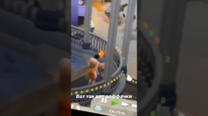 Жидковский играет в Симс Sims