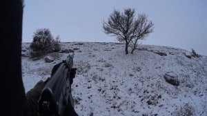 Охота на лису с Ягдтерьером.#СтепнаяТропа