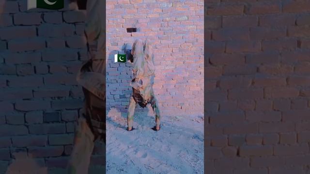 Pak army vs indian arm big challenge#pakistanarmy #indianarmy #short смотреть онлайн