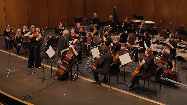 Dittersdorf, Sinfonia Concertante for Viola & Double Bass, mvt 1 смотреть онлайн