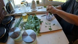 ПРИПРАВА из листьев Хрена Лука Чеснока ХУТОР Seasoning