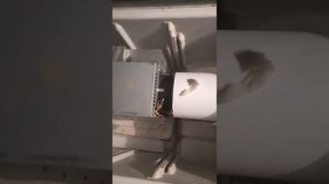 Бокс для Асика из холодильника ?