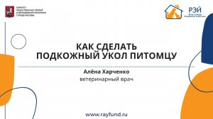 Как сделать подкожный укол питомцу