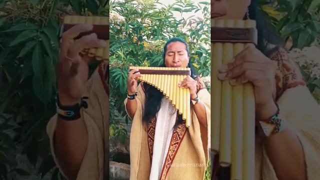 Te He Prometido🌹❤️- Leo Dan [Pan Flute]