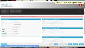 Платный или бесплатный двусторонний DSHOT для BLHeli_S ?