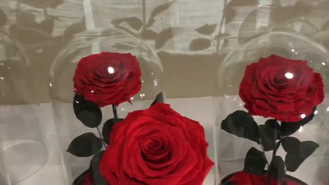 Роза в колбе оптом