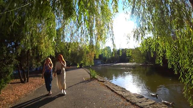 Городской сад! Краснодар переезд..